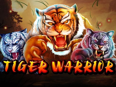 Tiger Warrior